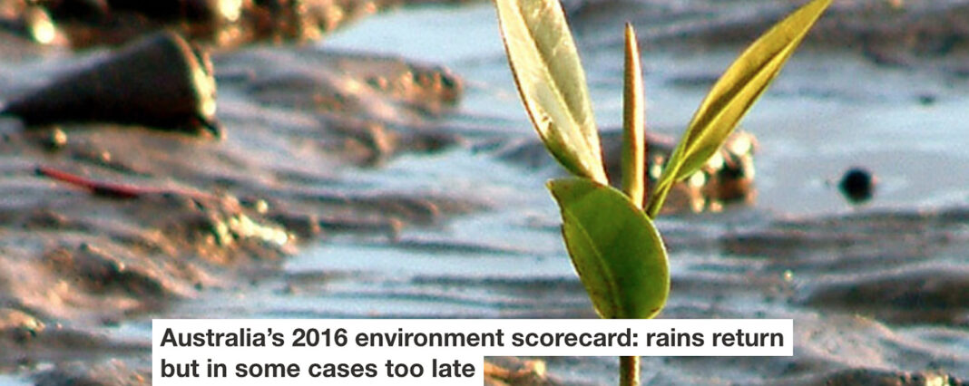 australia’s 2016 environment scorecard: rains return but in some cases too late