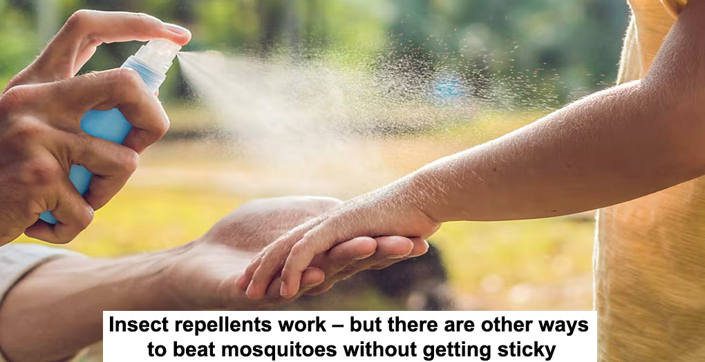 insect repellents work – but there are other ways to beat mosquitoes without getting sticky