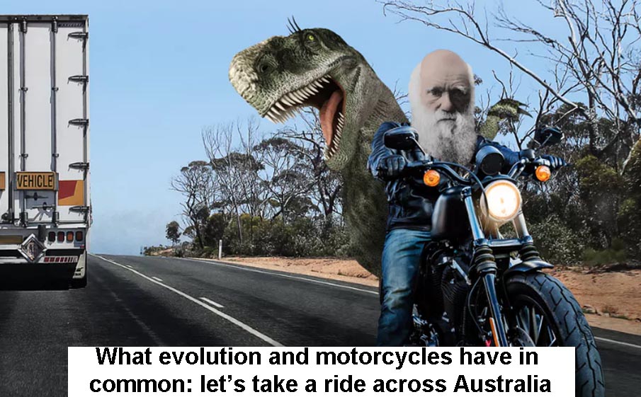 Evolution Motorcycles Header
