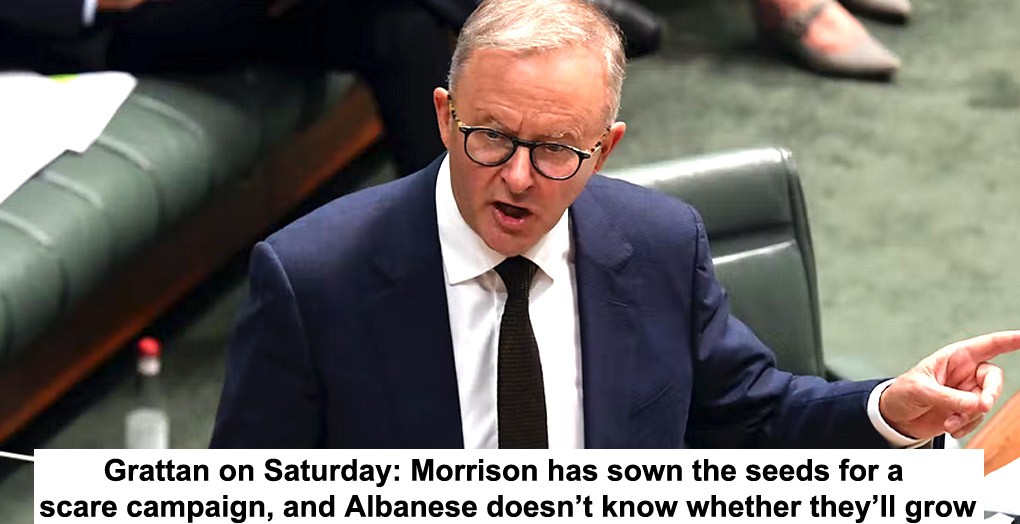grattan on saturday: morrison has sown the seeds for a scare campaign, and albanese doesn’t know whether they’ll grow