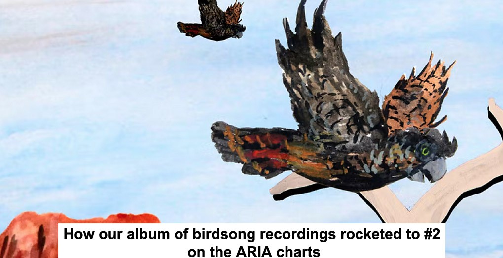 how our album of birdsong recordings rocketed to #2 on the aria charts