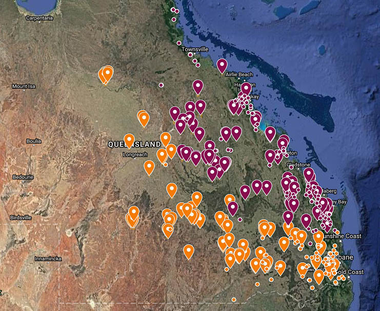 land clearing on the rise as legal ‘thinning’ proves far from clear-cut