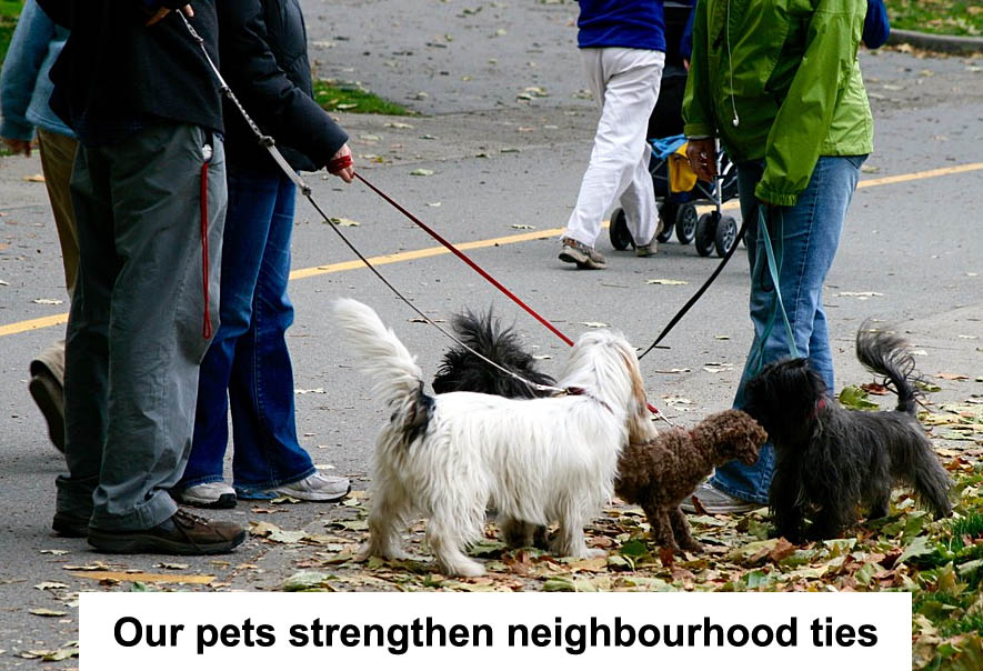 our pets strengthen neighbourhood ties