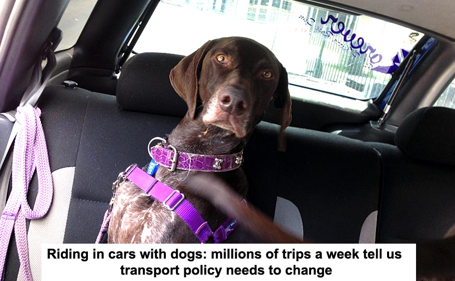 Riding In Cars With Dogs: Millions Of Trips A Week Tell Us Transport Policy Needs To Change