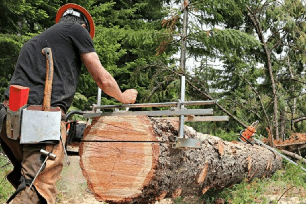 making the cut with a chain sawmill