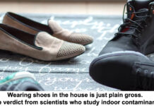 wearing shoes in the house is just plain gross. the verdict from scientists who study indoor contaminants