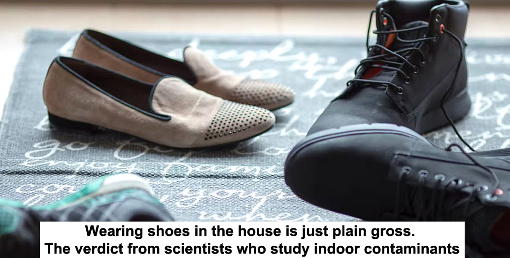 wearing shoes in the house is just plain gross. the verdict from scientists who study indoor contaminants