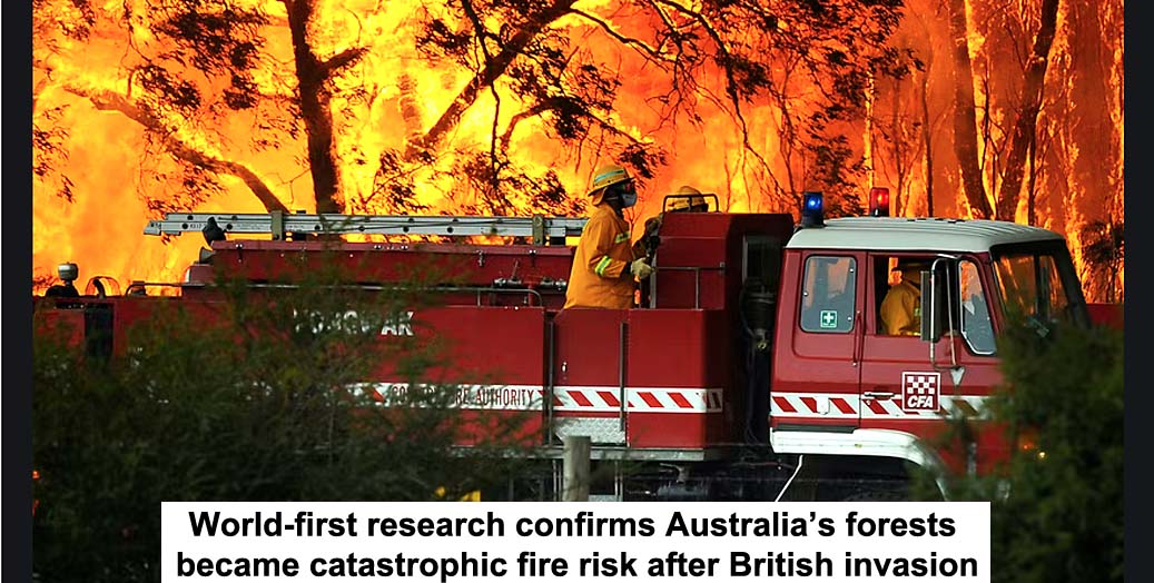 world-first research confirms australia’s forests became catastrophic fire risk after british invasion