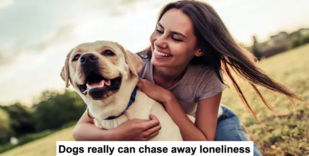 dogs really can chase away loneliness
