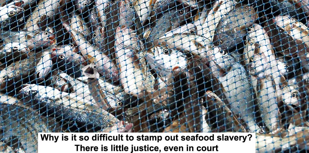 Why Is It So Difficult To Stamp Out Seafood Slavery There Is Babe Justice Even In Court TAGG