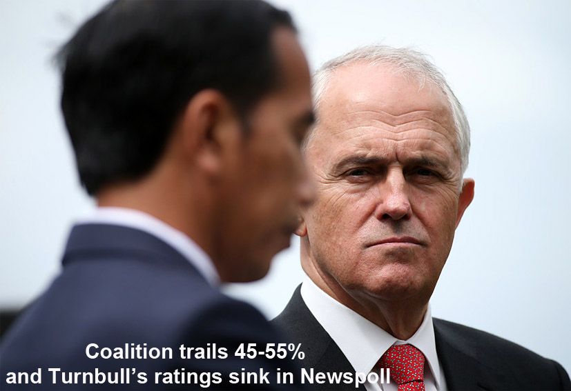 coalition trails 45-55% and turnbull’s ratings sink in newspoll