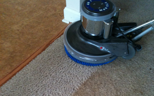 Carpet Dry Cleaning vs Steam cleaning - The facts!