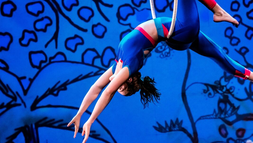 world-famous flying fruit fly circus return with brand new feminist show, girls with altitude