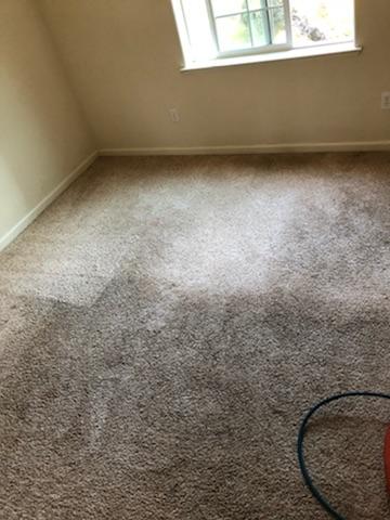 Carpet Cleaning Before and After - Pioneer Cleaning Services