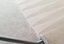 how you can protect your carpet when movers come in