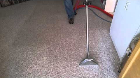 are professional carpet cleaners worth it? a list of benefits