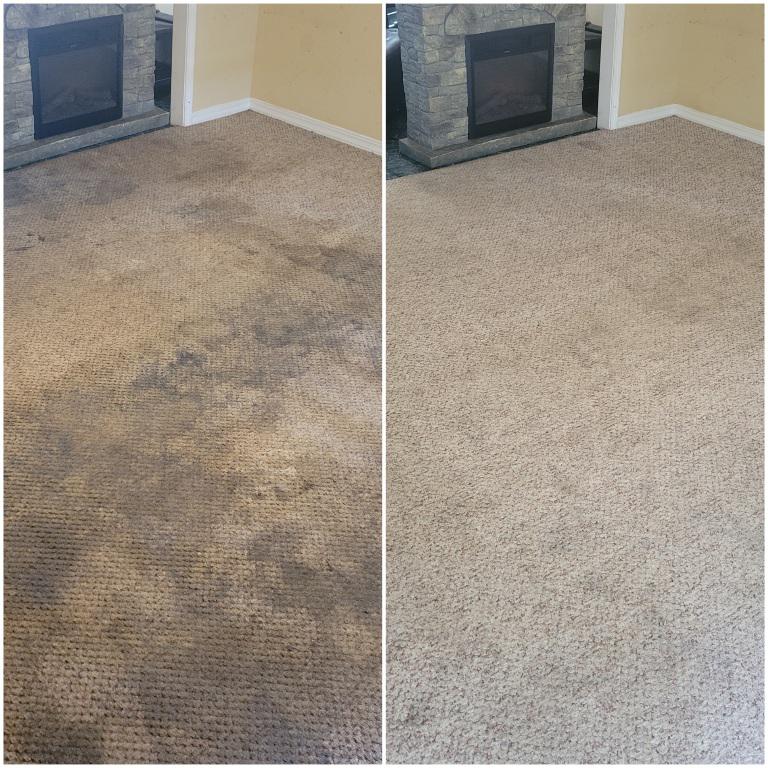 Carpet cleaning. Before and after. : r/oddlysatisfying