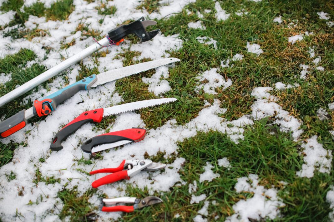 how to take care of your lawn during winter