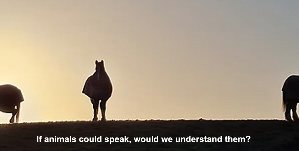 if animals could speak, would we understand them?