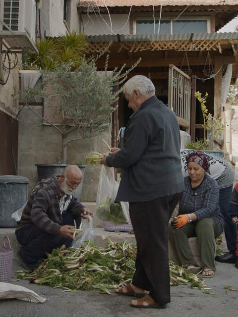 Elderly men filling plastic bags with vegetables found on the ground