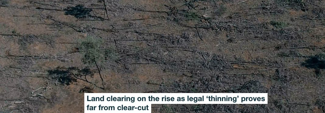 land clearing on the rise as legal ‘thinning’ proves far from clear-cut