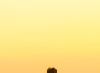 Efro Captures the Spirit of Summer on Dreamy New Single ‘Run To The Sun’