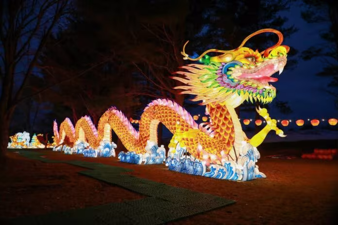 Seasonal Light Festival